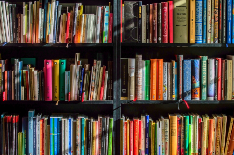 magasin-BELGENTIER-min_books_bookstore_book_reading_shop_writer_sale_books_read-822866
